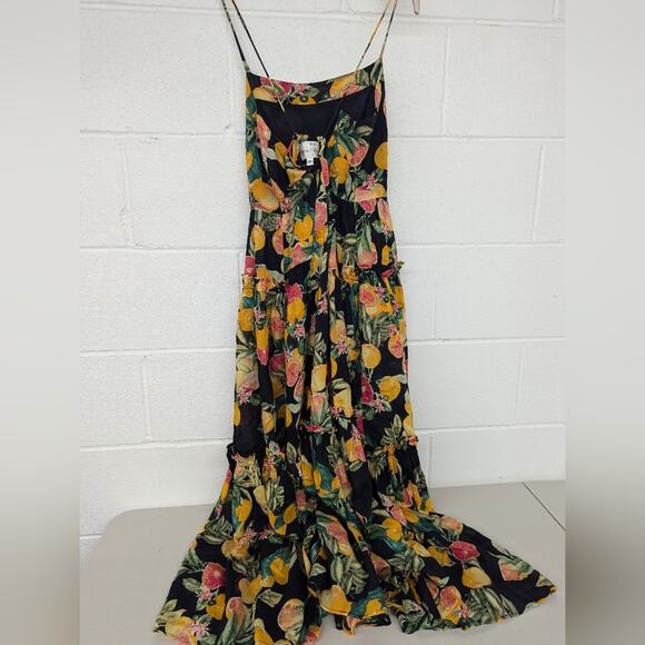 RTR Sz small s Cara Cara New York Harbour Island Dress oranges grapefruit fruit - Picture 6 of 11